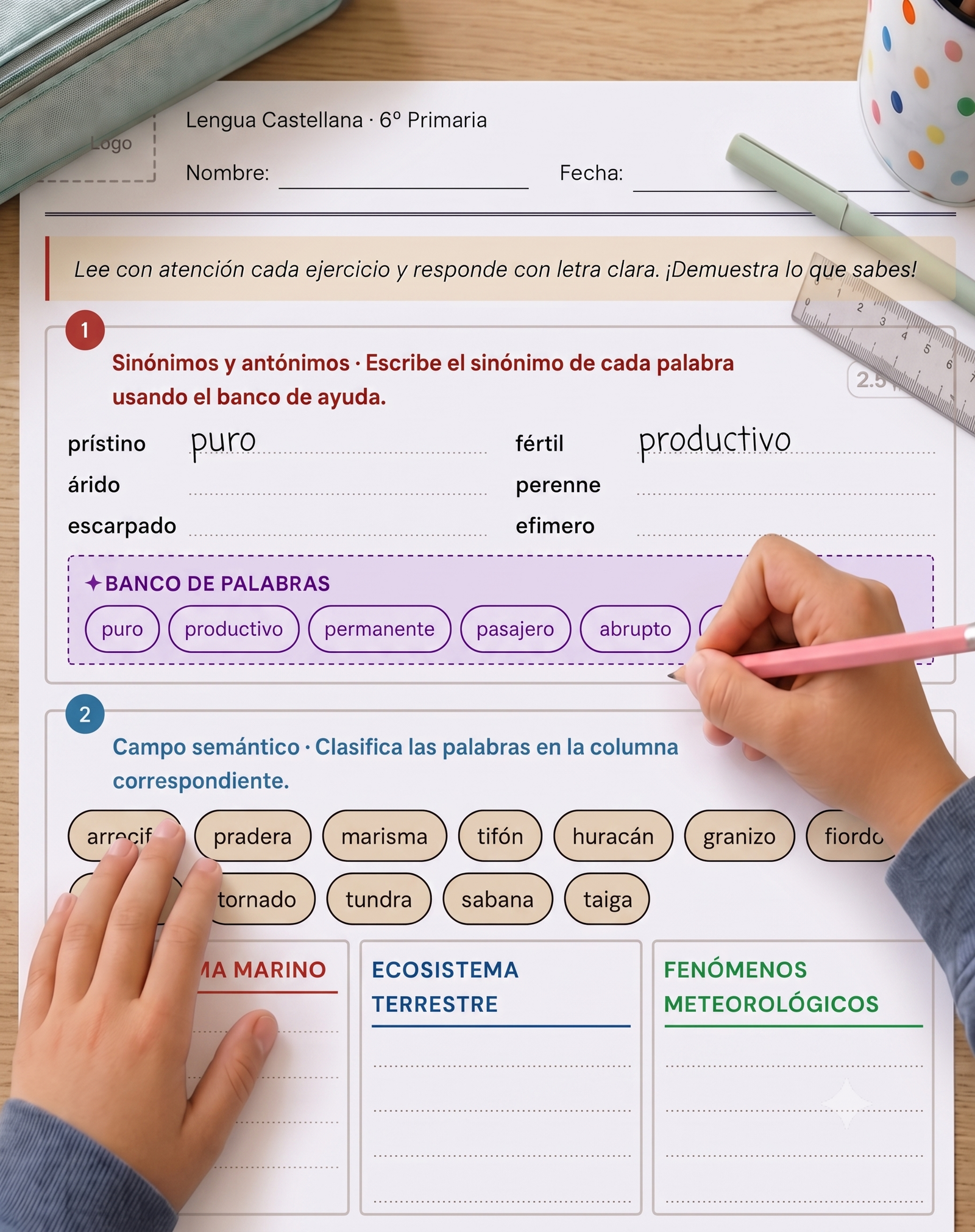 F. LENGUA 3ºCICLO