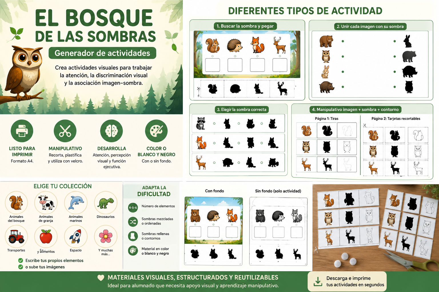 EL BOSQUE DE LAS SOMBRAS Y CONTORNOS